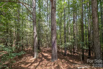 0 Riverbluff Lane, Lilesville, NC 28091 - Photo 27