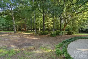 1321 Hillshire Meadow Dr, Matthews, NC 28105 - Photo 43