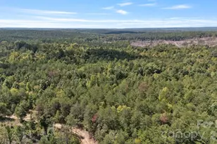 630 Turkey Creek Ridge Rd, York, SC 29745 - Photo 1