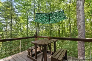 1370 Salola Ln, Brevard, NC 28712 - Photo 41