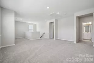 17017 Walker Wylie Dr, Charlotte, NC 28278 - Photo 17