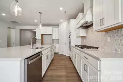 17017 Walker Wylie Drive, Charlotte, NC 28278 - Photo 7