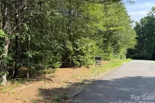 Tbd Agnes Douglas Rd, Indian Land, SC 29707 - Photo 1