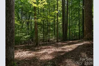 0 Hebron Road, Hendersonville, NC 28792 - Photo 17