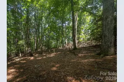 0 Hebron Road, Hendersonville, NC 28792 - Photo 19