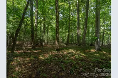 0 Hebron Road, Hendersonville, NC 28792 - Photo 9