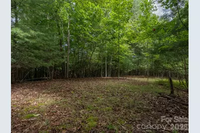 0 Hebron Road, Hendersonville, NC 28792 - Photo 3