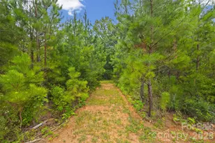 2231 Wooten Rd, Chester, SC 29706 - Photo 29
