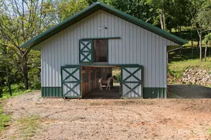 135 Potato Branch Rd, Leicester, NC 28748 - Photo 5