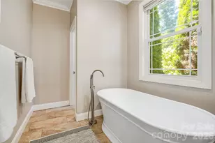 329 Scarlet Tanager Ct, Arden, NC 28704 - Photo 19