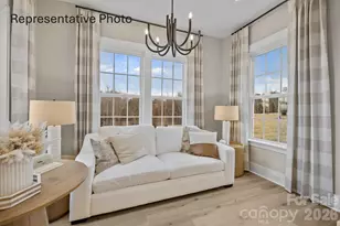 445 Pitch Pne St, Fort Mill, SC 29715 - Photo 13