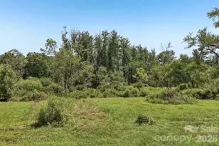 1414 Kanuga Rd, Hendersonville, NC 28739 - Photo 35
