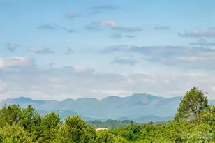 596 Country Oak Dr, Asheville, NC 28804 - Photo 43