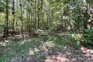 215 Factory St, Biscoe, NC 27209 - Photo 13