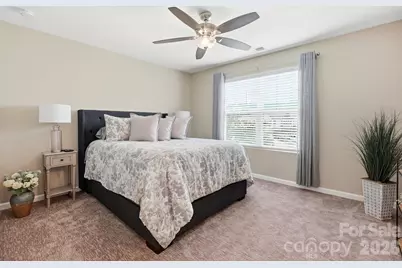 509 Common Raven Court, Fort Mill, SC 29715 - Photo 29