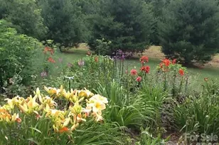 92 S Lindon Cove Rd, Candler, NC 28715 - Photo 43