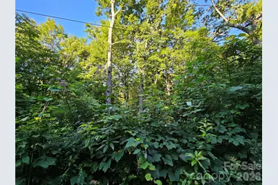 102 Big Ridge Road #102, Burnsville, NC 28714 - Photo 5