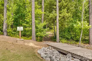 329 Sensibility Cir, Fort Mill, SC 29708 - Photo 41