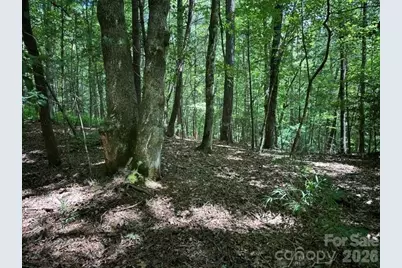 Tbd Blossom Road, Brevard, NC 28712 - Photo 3