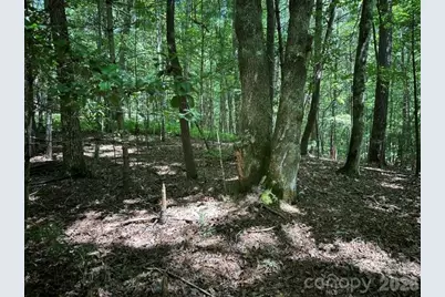 Tbd Blossom Road, Brevard, NC 28712 - Photo 5