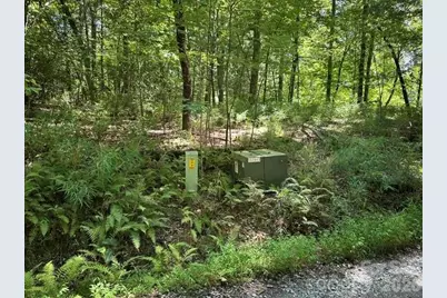 Tbd Blossom Road, Brevard, NC 28712 - Photo 7