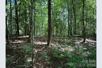 Tbd Blossom Road, Brevard, NC 28712 - Photo 1