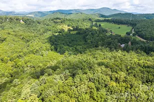 383 Bear Ridge Trail, Fleetwood, NC 28626 - Photo 47