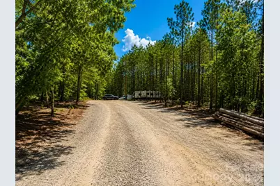 3203 Landfill Road, Mount Croghan, SC 29727 - Photo 11