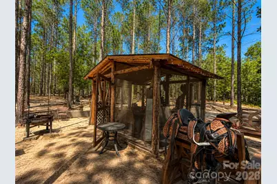 3203 Landfill Road, Mount Croghan, SC 29727 - Photo 41