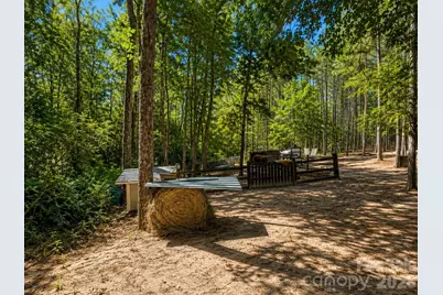 3203 Landfill Road, Mount Croghan, SC 29727 - Photo 15