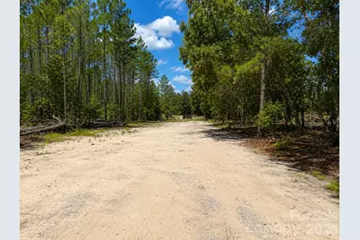 3203 Landfill Road, Mount Croghan, SC 29727 - Photo 31