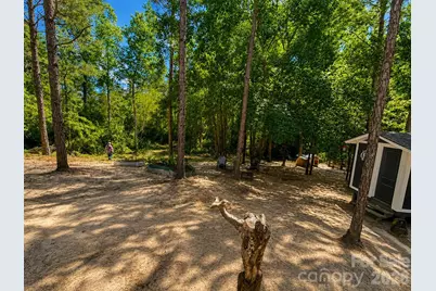 3203 Landfill Road, Mount Croghan, SC 29727 - Photo 37