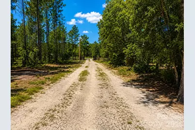 3203 Landfill Road, Mount Croghan, SC 29727 - Photo 9