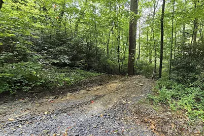 86 Pine Ridge Road, Hendersonville, NC 28792 - Photo 31
