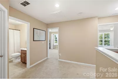 179 Sweet Briar Drive, Indian Land, SC 29707 - Photo 23