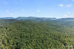 1900 Solomon Jones Rd, Cedar Mountain, NC 28718 - Photo 31
