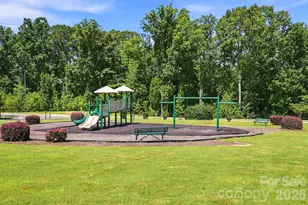 806 Pace Ct, Fort Mill, SC 29715 - Photo 39