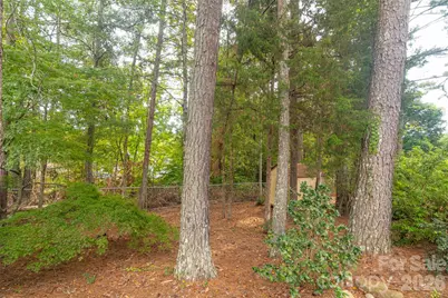 378 Chisholm Trail, Rutherfordton, NC 28139 - Photo 33