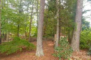 378 Chisholm Trail, Rutherfordton, NC 28139 - Photo 33