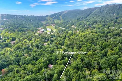 211 Foxgrape Hollow #77, Beech Mountain, NC 28605 - Photo 21