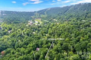 211 Foxgrape Hollow, Beech Mountain, NC 28604 - Photo 21
