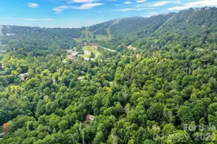 211 Foxgrape Hollow, Beech Mountain, NC 28604 - Photo 23