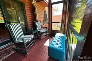 45 Reedy Creek Ct, Hendersonville, NC 28792 - Photo 27