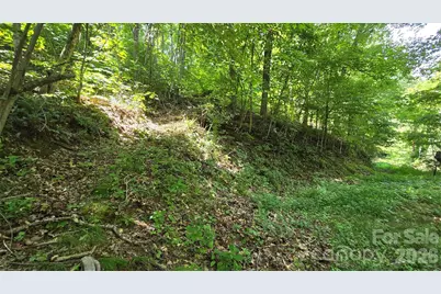 310 High Cliff Drive, Waynesville, NC 28786 - Photo 7