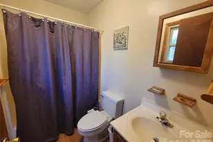 507 Utah Mountain Rd, Waynesville, NC 28785 - Photo 19
