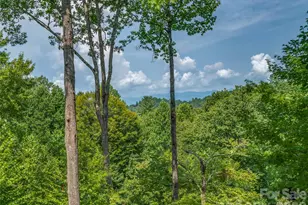 75 Old Hickory Trail, Hendersonville, NC 28739 - Photo 27