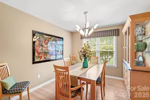 189 River Birch Cir, Mooresville, NC 28115 - Photo 11