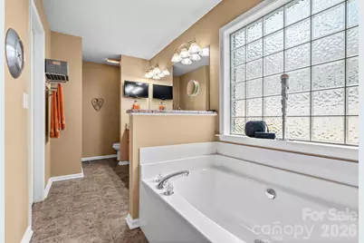189 River Birch Circle, Mooresville, NC 28115 - Photo 17