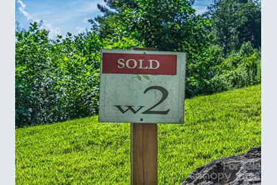 52 Lemongrass Trail, Hendersonville, NC 28791 - Photo 3