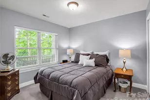 119 Downing Park Ct, Brevard, NC 28712 - Photo 29